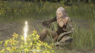 Gayle the Prosthetic Hunter - NieR Reincarnation