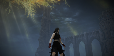FF7 Advent Children - Tifa Lockhart
