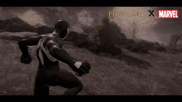 Spiderman Black Suit