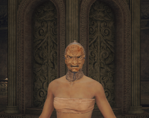 Remove All Helmet Hair