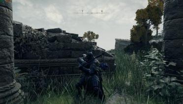 Night's Cavalry Set Recolor