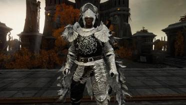 Veteran's Set - Black and Silver