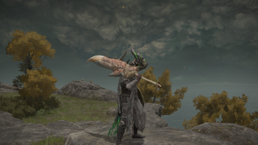 Bird of Light's Weapons and Armor