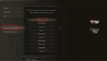Remove Player Skin Mod