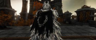 Veteran's Set - Black and Silver