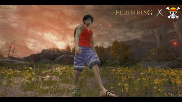 Mugiwara no Luffy cosplay ONE PIECE