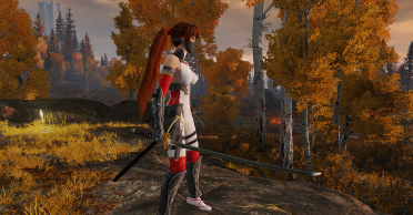 Kasumi Ninja set with Ishikiri