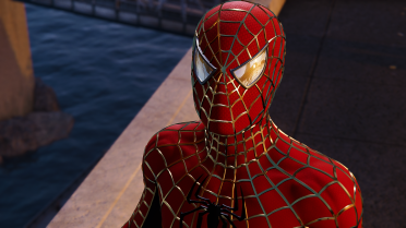 Golden Webbed Suit