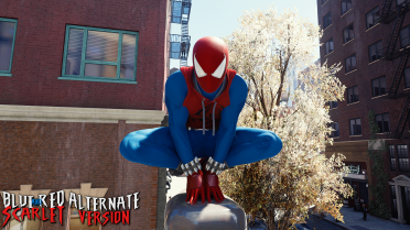 Red and Blue Scarlet