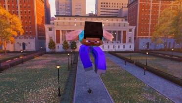 Steve (Minecraft)