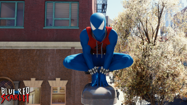 Red and Blue Scarlet