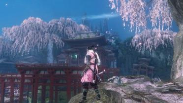 Shinobi of the Cherry Blossom