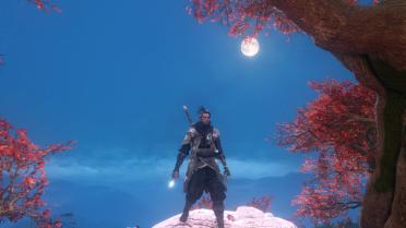 Shinobi of the Lotus