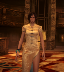 Ada Wong EX 1/2 Costume Over Claire Prison