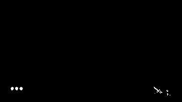 Siberian Tiger Coat Mod