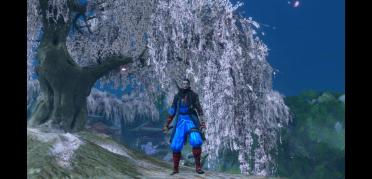 Hayabusa style outfit