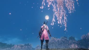 Shinobi of the Cherry Blossom