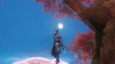 Shinobi of the Lotus