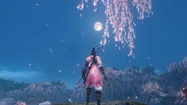 Shinobi of the Cherry Blossom