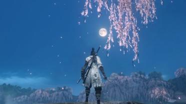 Shinobi of the Cherry Blossom