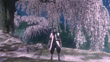 Shinobi of the Cherry Blossom