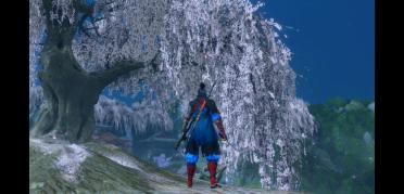 Hayabusa style outfit