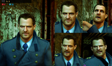 Head Edits for Campaign Characters