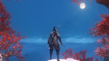 Shinobi of the Lotus