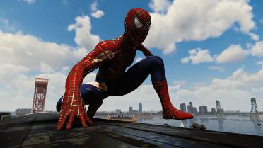 Raimi Damaged Suit