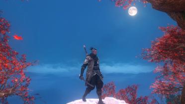 Shinobi of the Lotus