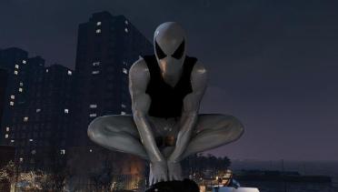 Black and White Scarlet Spider