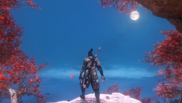 Shinobi of the Lotus