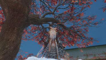 True Son of Owl Outfit