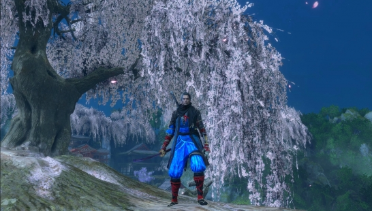 Hayabusa style outfit