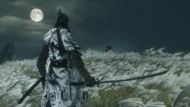 Degenerate Sekiro Skin