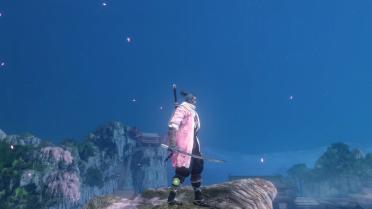 Shinobi of the Cherry Blossom