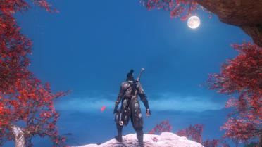 Shinobi of the Lotus