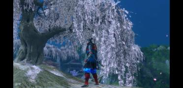 Hayabusa style outfit