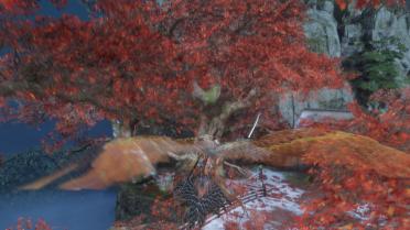 True Son of Owl Outfit