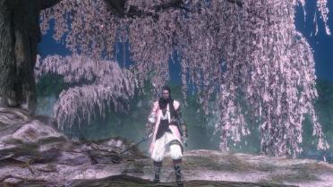 Shinobi of the Cherry Blossom