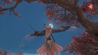 True Son of Owl Outfit