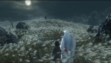 Sesshomaru replace Sekiro