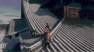 The Shinobi Costumes