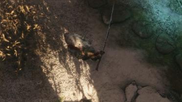 The Legacy of Guardian Ape