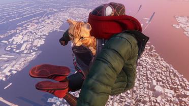 Spidercat Pack