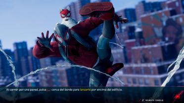 Black Grey and White Cat