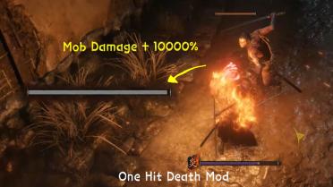 One Hit Death and Sturdy Enemy Mod