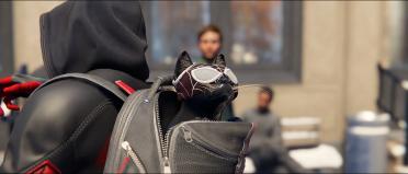 True Symbiote Spider Cat