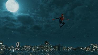 Moonlight - A New Night Sky