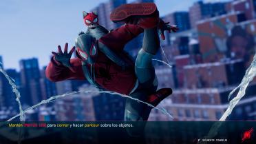 Black Grey and White Cat